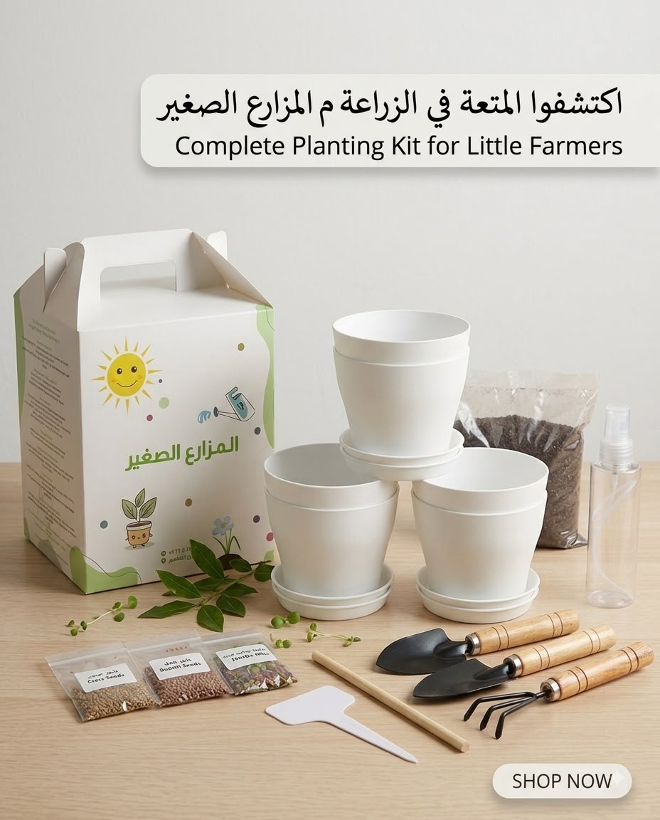 Planting set box - Medium